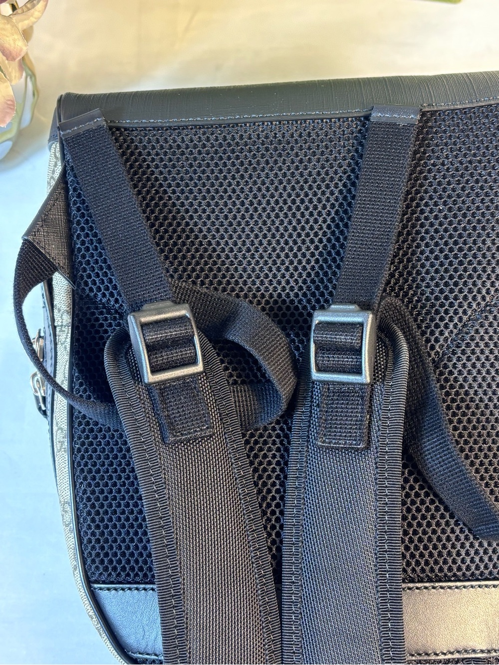 Gucci Supreme Backpack - Picture 8 of 16